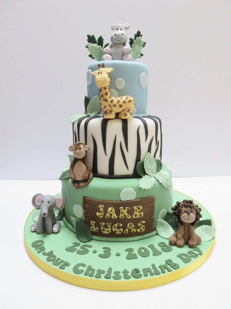 Birthday Cakes, Wedding Cakes, Christening Cakes And More From Fun Cakes